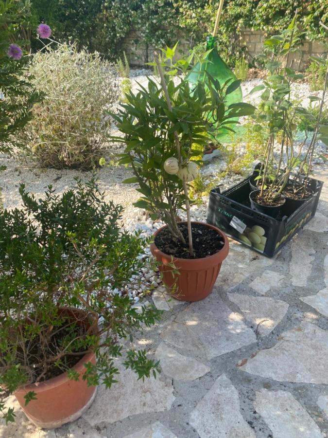 트라니 Apulia Casa E Cucina B&B 외부 사진